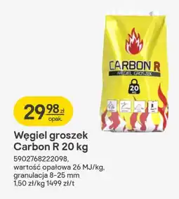 Castorama Węgiel groszek Carbon R oferta