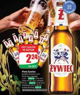 Dino Piwo Żywiec oferta