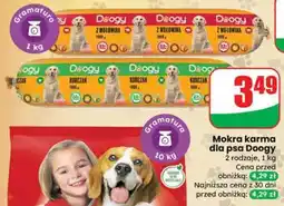 Dino Mokra karma dla psa Doogy oferta