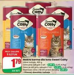 Dino Mokra karma dla kota Sweet Catty oferta