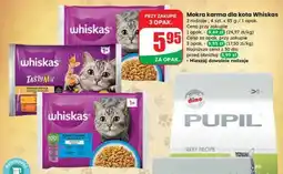 Dino Mokra karma dla kota Whiskas oferta
