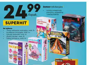 Biedronka Odkryj dinozaura 1 SZT oferta