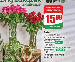 Dino Bukiet róż oferta