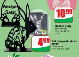 Dino Dekoracja oferta