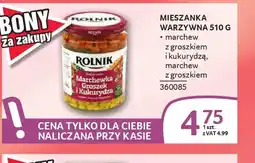 Selgros Rolnik Mieszanka warzywna oferta