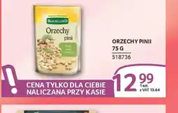 Selgros Buccatland Orzechy pinii oferta