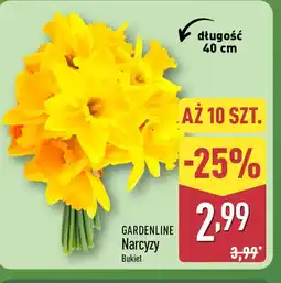 ALDI Gardenline Narcyzy Bukiet oferta