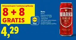Lidl Piwo Warka oferta