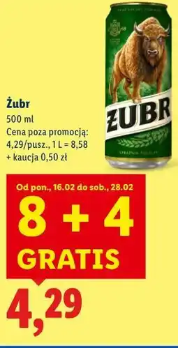 Lidl Żubr oferta