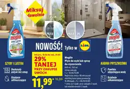 Lidl Meglio Płyn do szyb lub spray do czyszczenia oferta