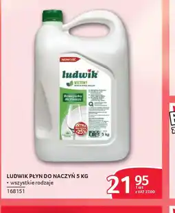 Selgros Ludwik płyn do naczyń oferta