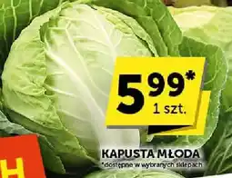 ABC Kapusta młoda oferta