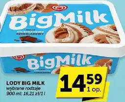 ABC Lody wybrane rodzaje oferta