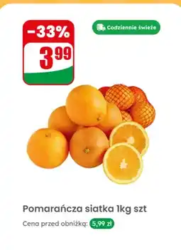Dino Pomarańcza siatka oferta