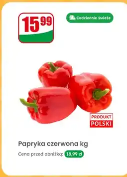 Dino Papryka czerwona oferta