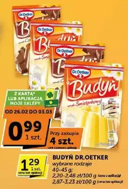 ABC Budyń wybrane rodzaje oferta