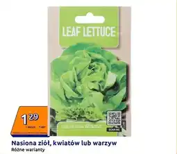 Action Nasiona ziół, kwiatów lub warzyw różne warianty oferta