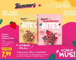 Lidl Poduszeczki Bites jabłkowo-cynamonowe oferta