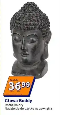 Action Głowa Buddy oferta
