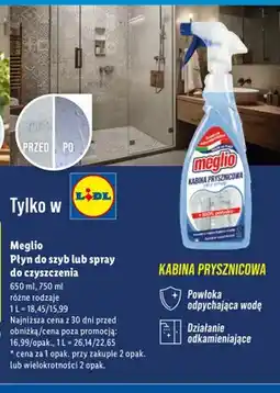 Lidl Spray do czyszczenia oferta