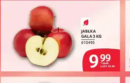 Selgros Jabłka Gala oferta