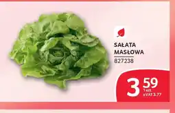 Selgros Sałata masłowa oferta