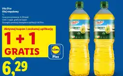 Lidl Olej VITA D'OR oferta