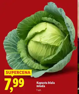 Lidl Kapusta młoda oferta