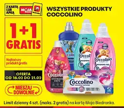 Biedronka Coccolino produkty oferta