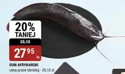 bi1 Sum afrykański oferta
