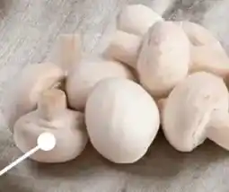 bi1 Pieczarki oferta