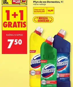 Biedronka Płyn do wc Domestos oferta