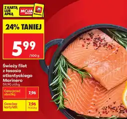 Biedronka Marinero filet z łososia oferta