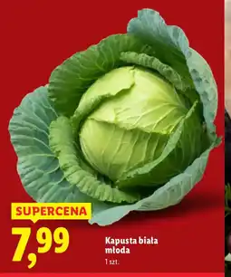 Lidl Kapusta biała młoda oferta