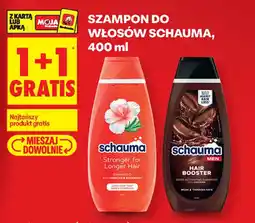 Biedronka Schauma szampon do włosów oferta