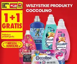 Biedronka Coccolino produkty oferta