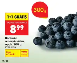Biedronka Borówka amerykańska oferta