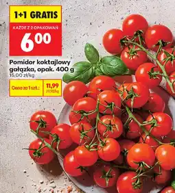 Biedronka Pomidor koktajlowy gałązka oferta
