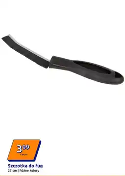 Action Szczotka do fug oferta