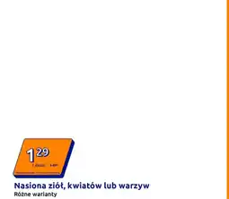 Action Nasiona ziół, kwiatów lub warzyw oferta