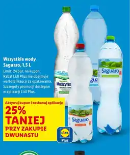 Lidl Saguaro wody oferta