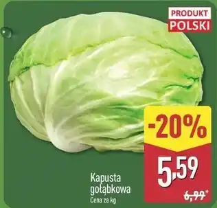 ALDI Kapusta gołąbkowa oferta