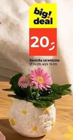 Dealz Doniczka ceramiczna Ø 14 cm, wys. 14 cm oferta