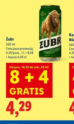 Lidl Zubr Piwo oferta