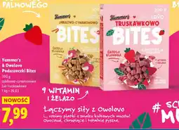 Lidl Yummer's & Owolovo Poduszeczki Bites oferta