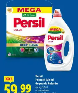 Lidl Persil proszek/żel Color oferta