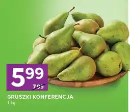 Stokrotka Gruszki Konferencja oferta