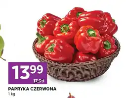 Stokrotka Papryka czerwona oferta