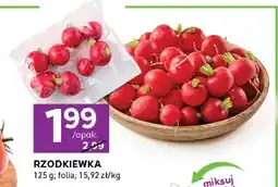 Stokrotka Rzodkiewka oferta