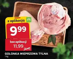 Stokrotka Golonka wieprzowa tylna oferta